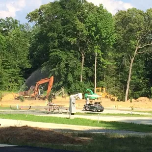 Beautiful busy park...