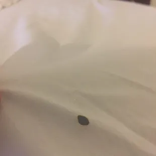 There was a cigarette burn in my sheet.