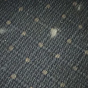 stains all over the carpet