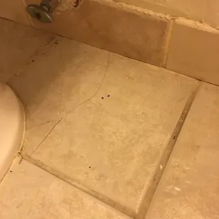 buss in the bathroom