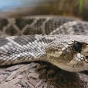 Hey you, stop staring, I am getting uncomfortable.