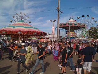 Lodi Grape Festival & Natl Wine Show