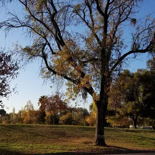 American Legion Park