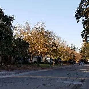 Surrounding neighborhood