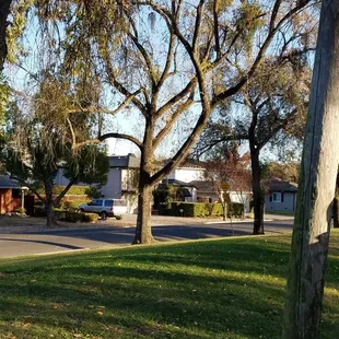 Surrounding neighborhood