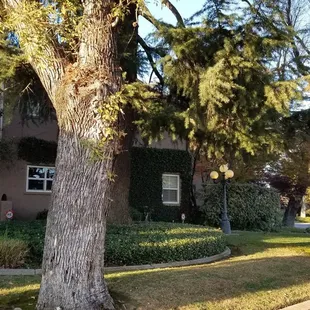 Homes around American Legion Park