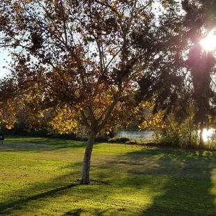 Park and lake