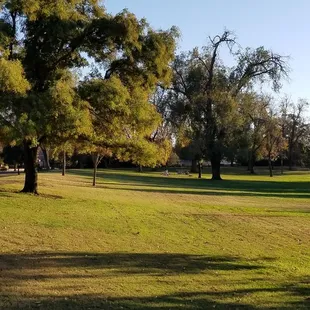 The park