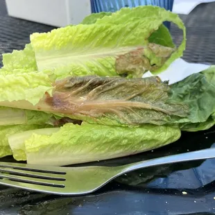 I ordered the lettuce wraps, needless to say I didn't eat any of the lettuce.  So gross!