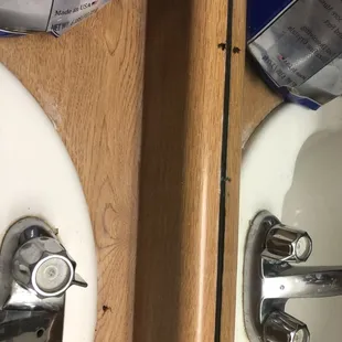 Cockroaches
