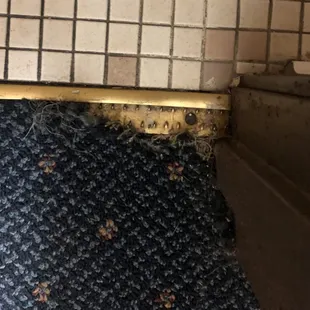 Best part of the room was that the carpet damage was relatively minor in comparison to the rest of this disgusting room.