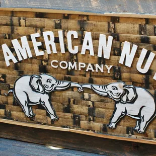 two elephants touching trunks