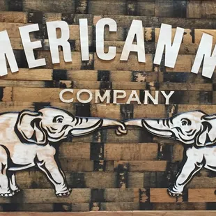 two elephants touching trunks