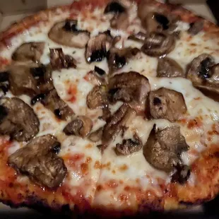 Mushroom and cheese pizza