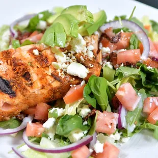 Healthy and Delicious Salmon Salad