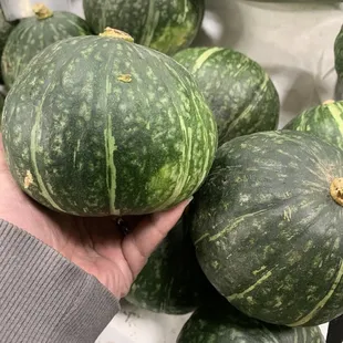 3/3/23 How cute a small kabocha $1.29/lb