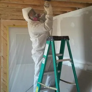 Mold Detection services offered