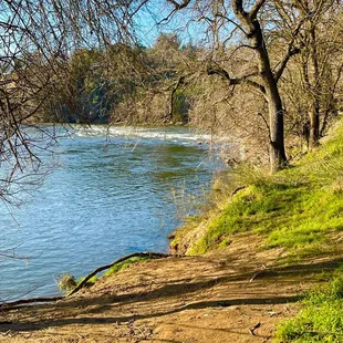 American River Bike Trail