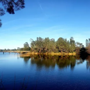 View of the Jedediah Smith Memorial Trail Bridge