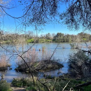 American River Ancil Hoffman Park. After the rains.