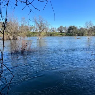 American River at Ancil Hoffman Park entrance. After the rains. Note: we usually sit in front of the trees in the center of the picture!