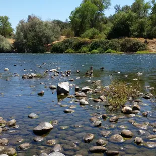 Sailor Bar in its glory!!