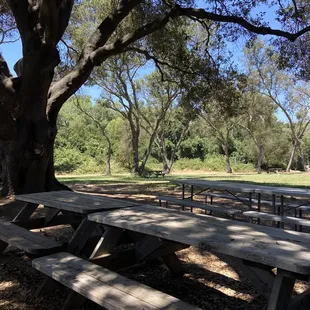 Picnic area!