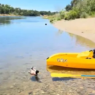 A beautiful view of the river!!