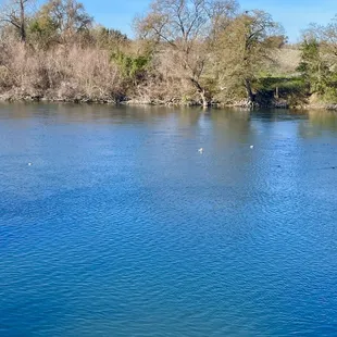 Beautiful day 1/1/24