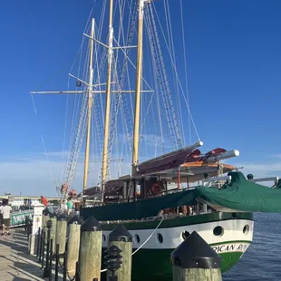 American Rover from behind