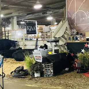 Kansas Juniors getting ready