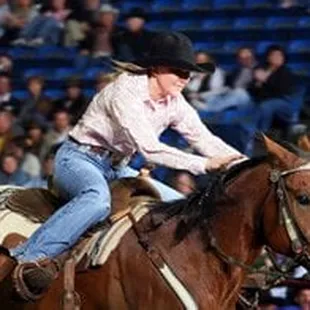 Image taken from the website