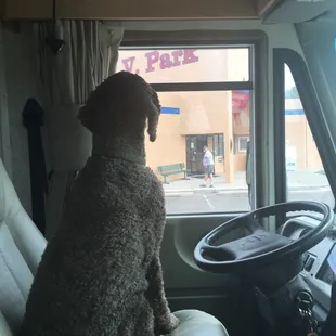 Our third time here.