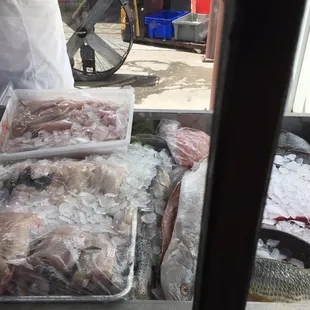 Tilapia, trout, grouper, drum, catfish , you name it they have it.