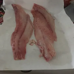 Can you believe the size of this filleted Drum, yeow!
