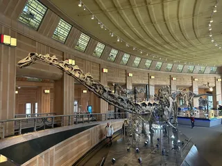 Museum of Natural History and Science