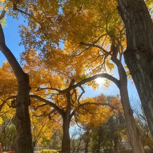 All done by climbing due to no lift access great job