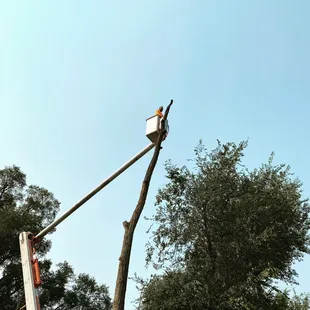 10 year experienced Bill in the boom