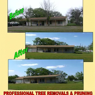 5 complete removals and 3 deadwood and trim