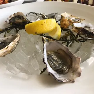 Market Oysters (6)