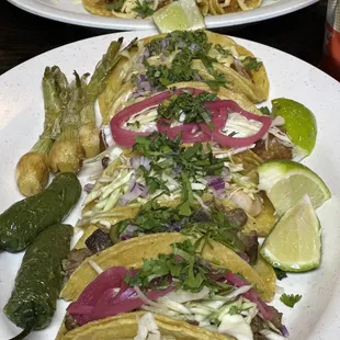 Family tray of 6 tacos. (B-T): steak, brisket, shrimp, fish, 4 chicken tacos