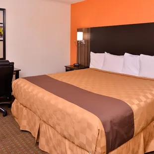 One King Bed