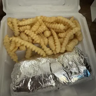 Chicken shawarma and fries