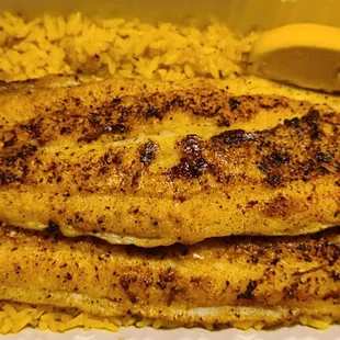 Grilled Catfish