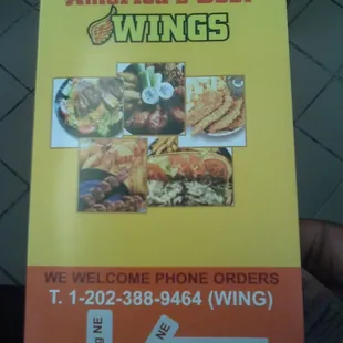 a hand holding a menu