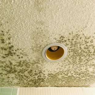 mold found on bathroom ceiling