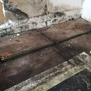 Mold behind cabinets due to water damage.