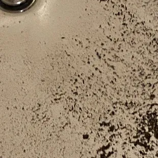 This is the bathtub in the Hotel Room when we checked in to our room.  Dirty Nasty!