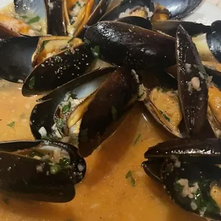 Steamed Mussels fabulous!