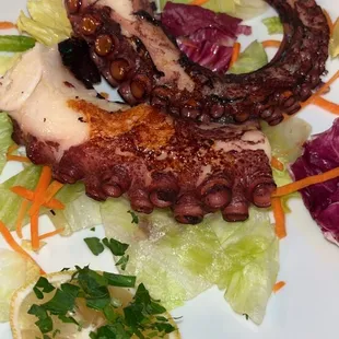 Octopus appetizer